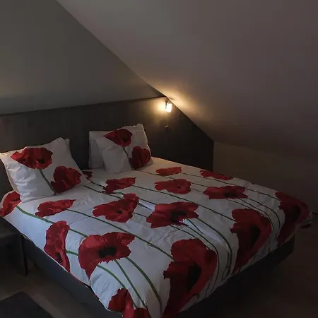 Bed & Breakfast Blijdatikerben Hamont-Achel